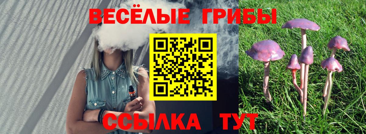 Псилоцибиновые грибы GOLDEN TEACHER Урюпинск