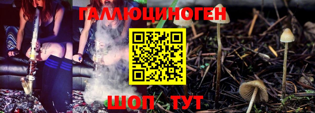 где купить   Галлюциногенные грибы Psilocybe  Вход с VPN  Урюпинск 